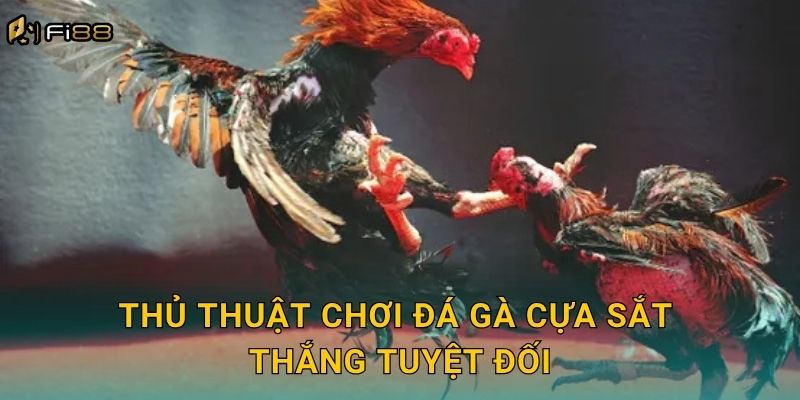 Thủ Thuật Chơi Đá Gà Cựa Sắt Thắng Tuyệt Đối