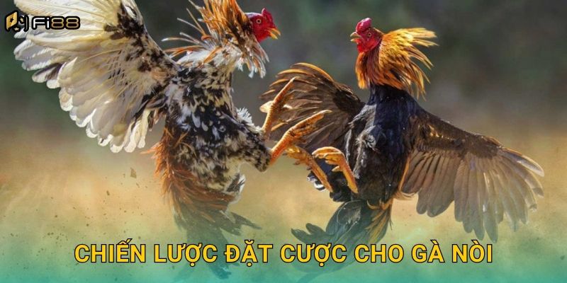 Chiến Lược Đặt Cược Cho Gà Nòi