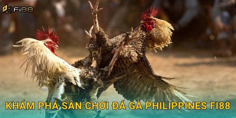 Khám Phá Sân Chơi Đá Gà Philippines Fi88