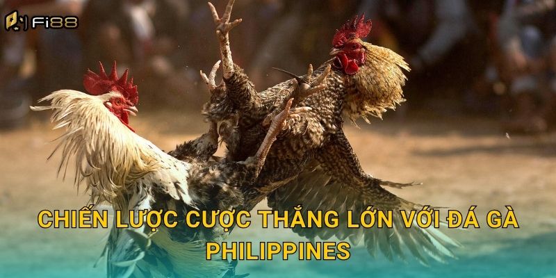 Chiến Lược Cược Thắng Lớn Với Đá Gà Philippines
