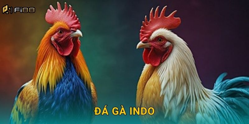 Đá Gà Indo Fi88 – Lối Chơi Độc Đáo, Ít Nơi Có