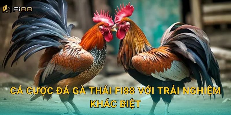 Cá Cược Đá Gà Thái Fi88 Với Trải Nghiệm Khác Biệt