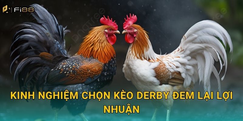 Kinh Nghiệm Chọn Kèo Derby Đem Lại Lợi Nhuận