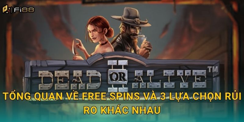 Tổng Quan Về Free Spins Và 3 Lựa Chọn Rủi Ro Khác Nhau