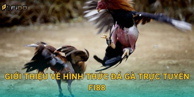 Giới Thiệu Về Hình Thức Đá Gà Trực Tuyến Fi88