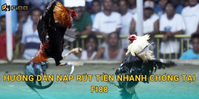 Hướng Dẫn Nạp Rút Tiền Nhanh Chóng Tại Fi88