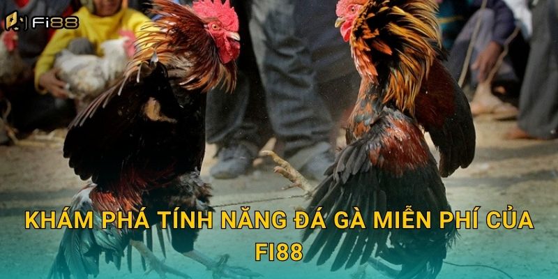 Khám Phá Tính Năng Đá Gà Miễn Phí Của Fi88